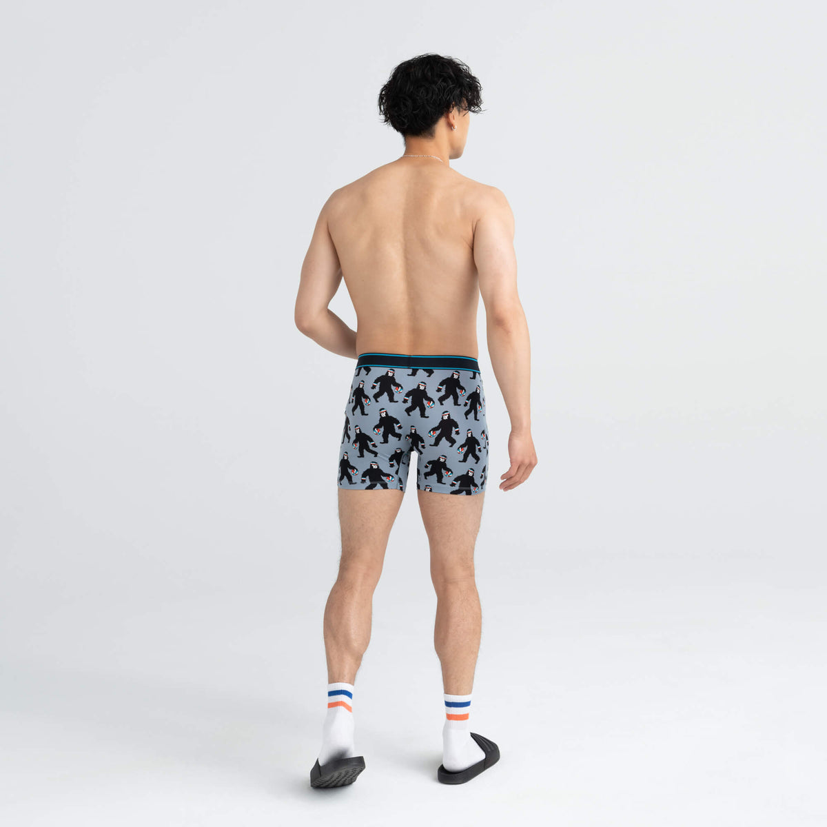 SAXX Daytripper Boxer Brief Harry & The Hoops